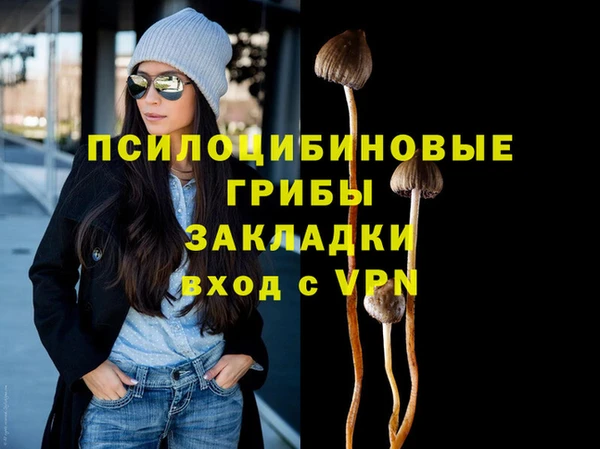 СК Осинники