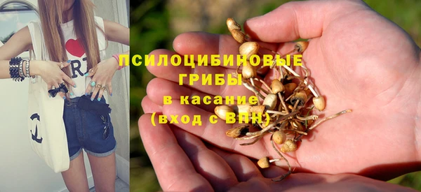 метадон Белокуриха